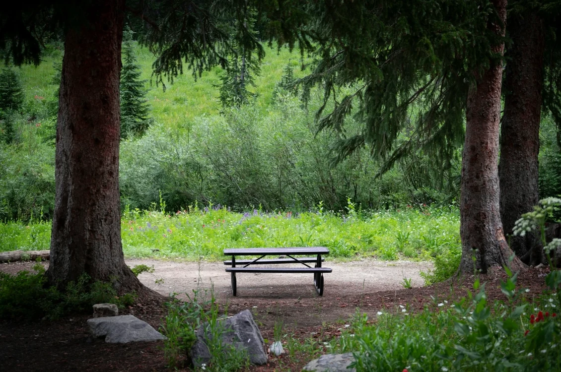 empty bench in the park